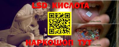 амф Можга