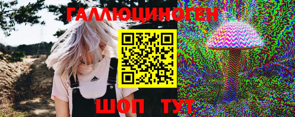 Псилоцибиновые грибы Cubensis  Вход с VPN  Псилоцибиновые грибы Psilocybe  Удомля 