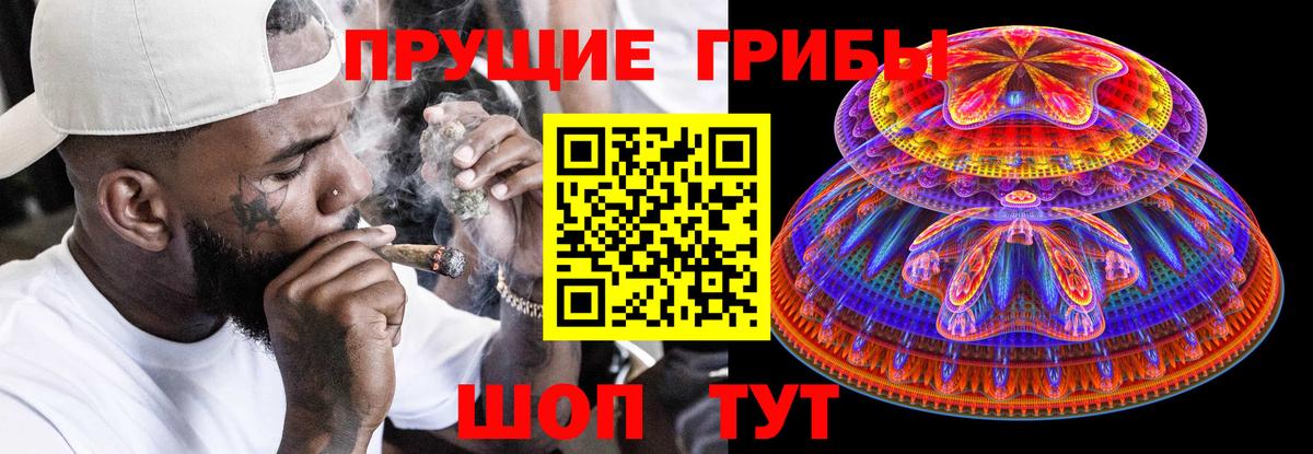 Псилоцибиновые грибы прущие грибы Удомля